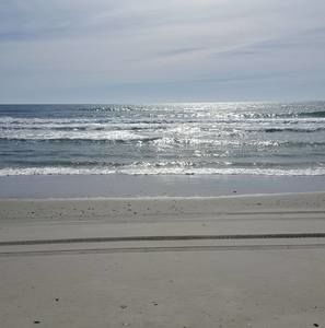 Meet your Posher, Doreen